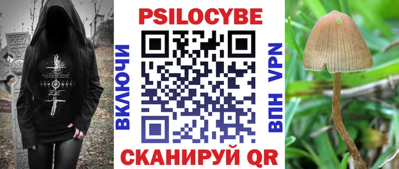 Псилоцибиновые грибы мухоморы  Купить  Омутнинск 